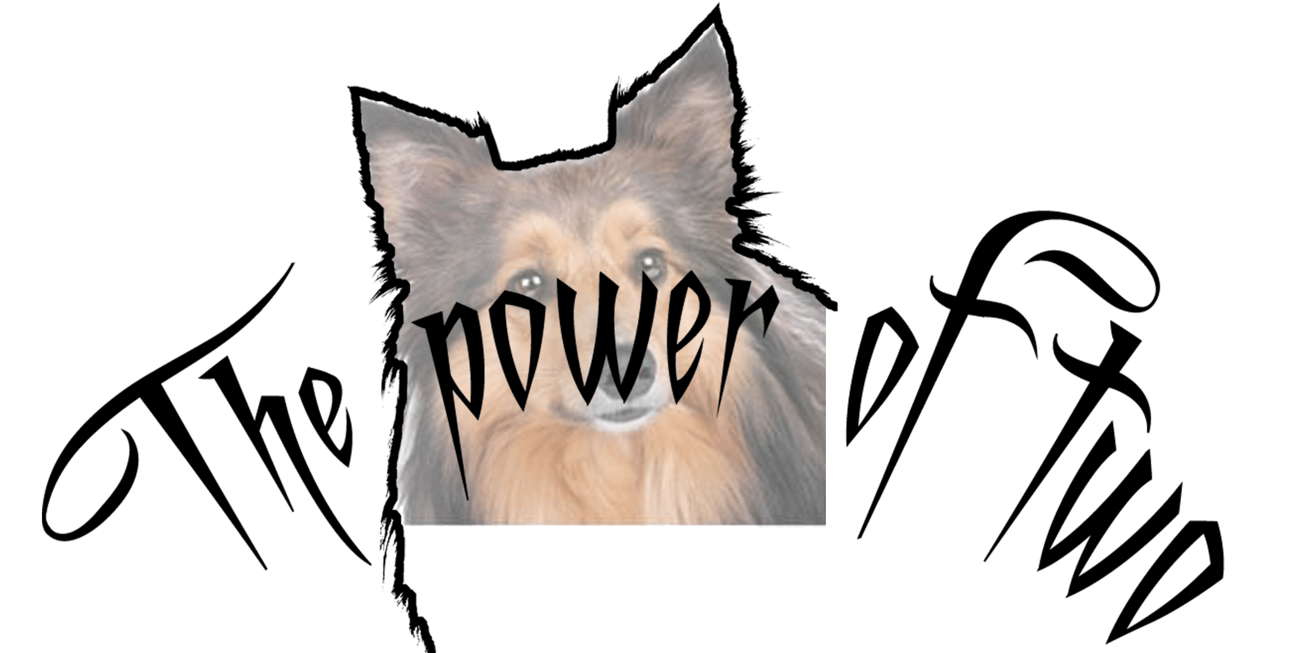 The Power of Two